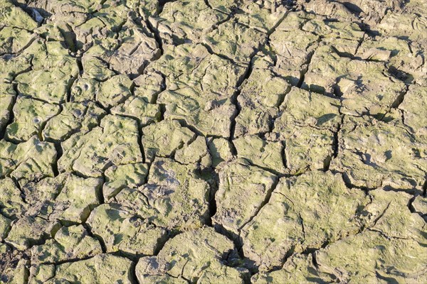 Dry river bed