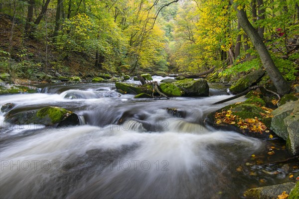 River Bode in the autumnal Harz Mountains