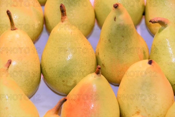 Pears