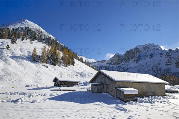 Kotalm Niederleger with snow in late autumn