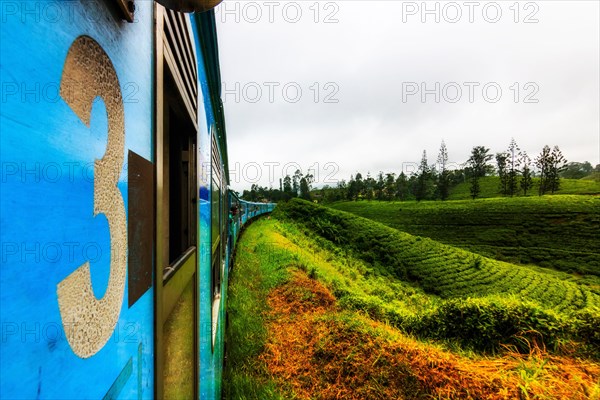 Train ride with the blue train