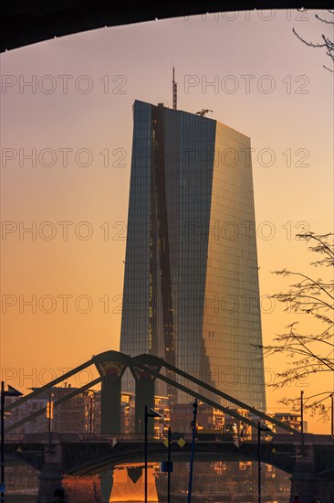 The European Central Bank