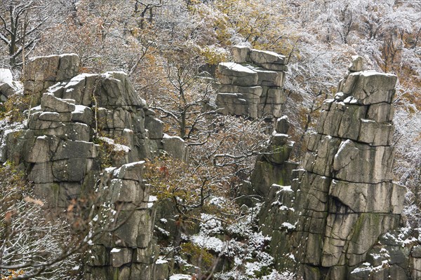 First snow on the autumnal slopes of the Bode Valley in the Harz Mountains