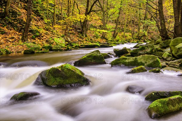 River Bode in the autumnal Harz Mountains