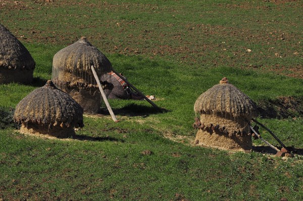 Haystack with shelter in green meadow