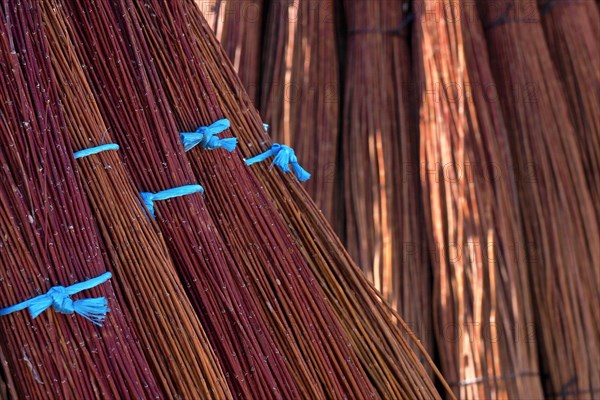 Bundles of brushwood tied with blue ribbon