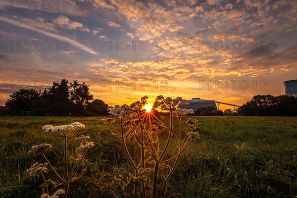 Beautiful sunrise in a field