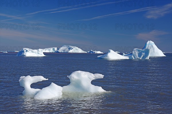 Small and large pieces of ice in a wide bay