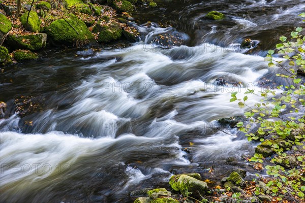 River Bode in the autumnal Harz Mountains