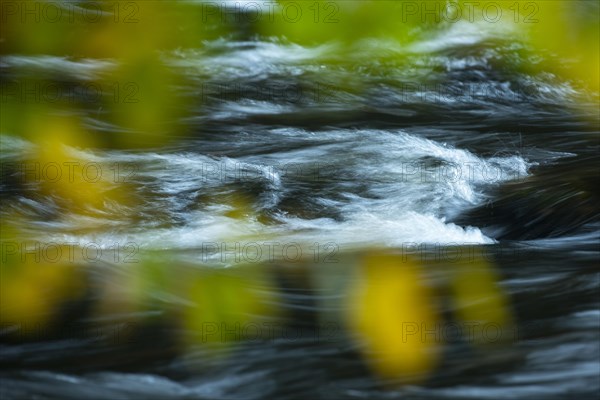 River Bode in the autumnal Harz Mountains