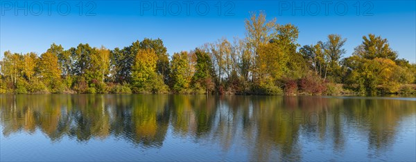 Fish pond on the river Lafnitz in autumn