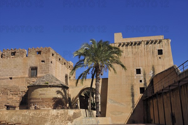 Courtyard of the Marques de los Velez Castle with palm tree