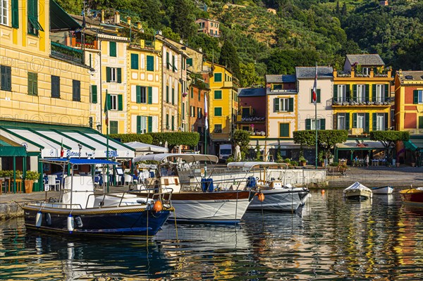 Boats anchor in Portofino harbour in front of pastel-coloured house facades