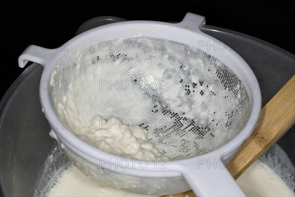 Kefir tubers lie in a plastic sieve after the kefir has been sieved