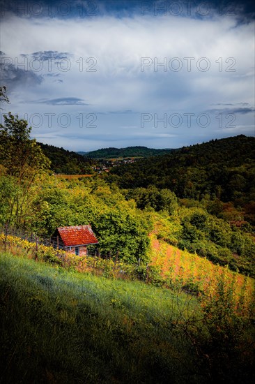 View of a green landscape with a small hut