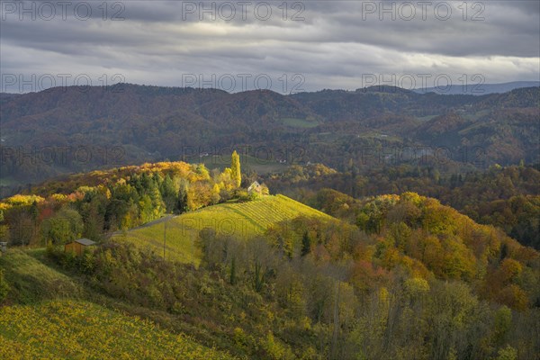 Sun spots on the autumnal landscape