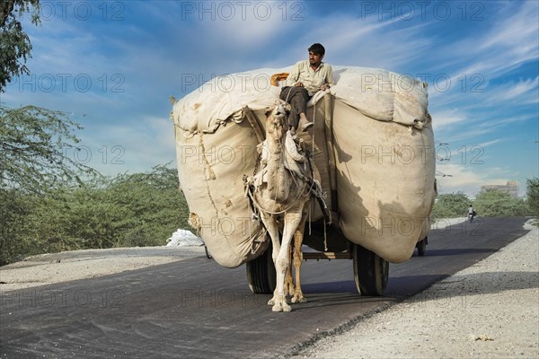 Fully loaded camel cart