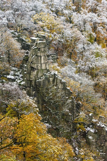 First snow on the autumnal slopes of the Bode Valley in the Harz Mountains