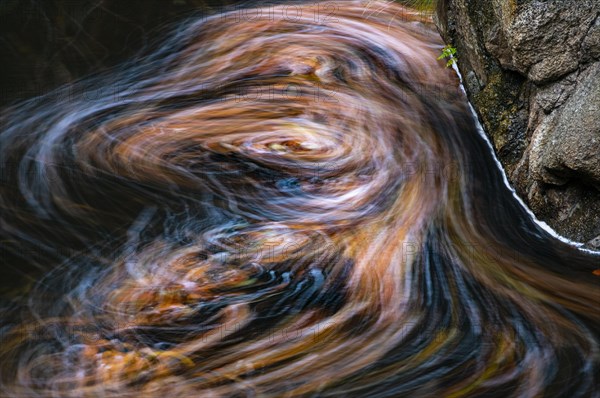 Leaves in the river Bode in the autumnal Harz