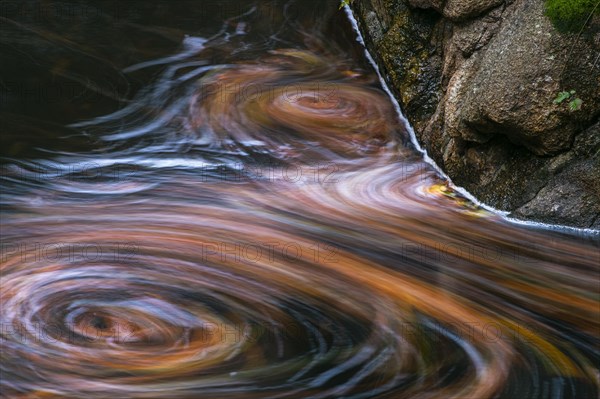 Leaves in the river Bode in the autumnal Harz