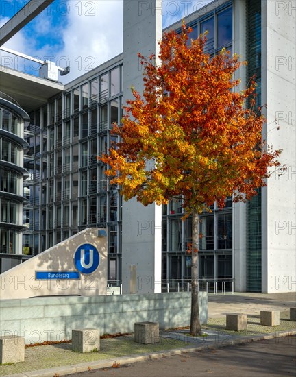 Autumn coloured leaves on a tree to the entrance of the underground station Bundestag