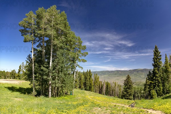 Bike Trail