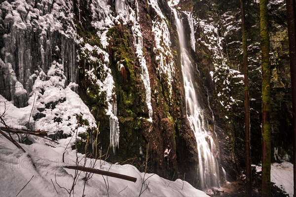 The Burgbach waterfall with snow in winter. Waterfall with stone steps in Schapbach