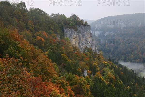 View from the Korbfelsen into the Danube valley