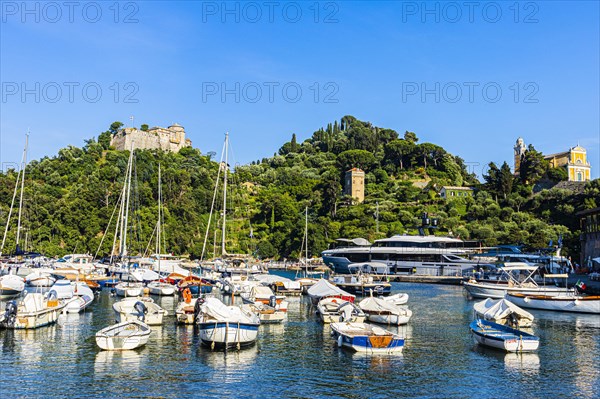 Yachts and boats anchored in the harbour of Portofino