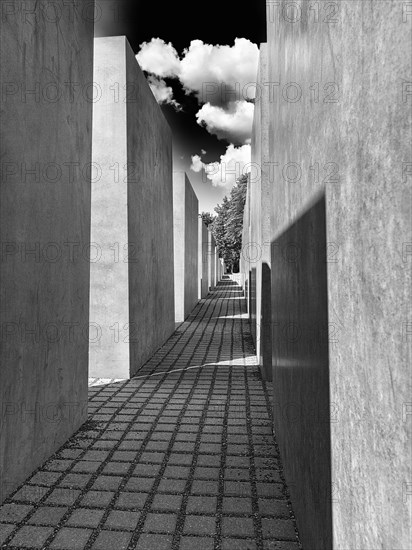 Narrow paved path through cuboid concrete stelae