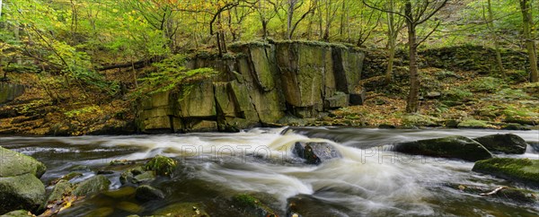 River Bode in the autumnal Harz Mountains