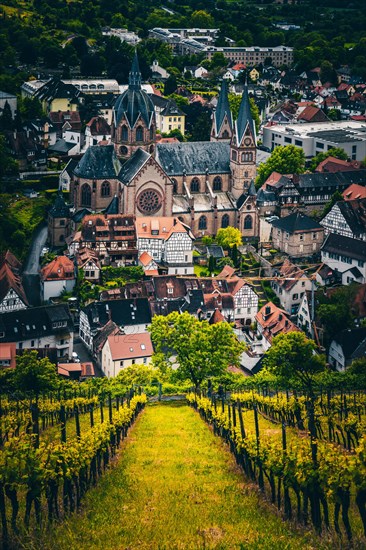 View over vineyards