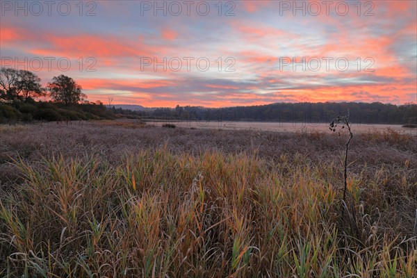 Dawn over the Unterhoelzer Weiher