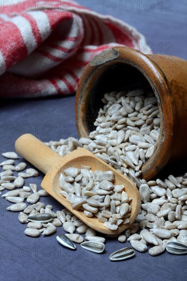 Peeled sunflower seeds in pots and scoops