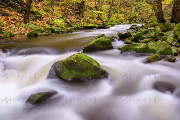 River Bode in the autumnal Harz Mountains