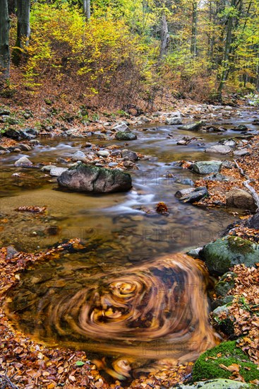 Autumnal Ilse Valley in the Harz Mountains