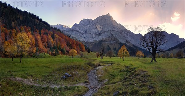 Big maple ground with autumnal colourful maple trees at sunset with the riverbed of the Enger Tal stream