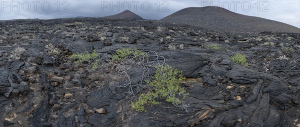 Typical volcanic landscape near La Restinga