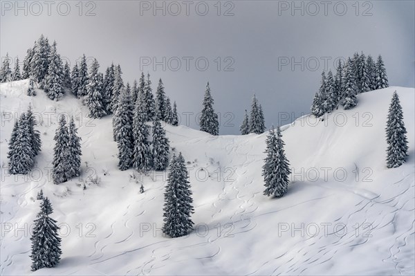 Snowy mountain landscape with trees in winter