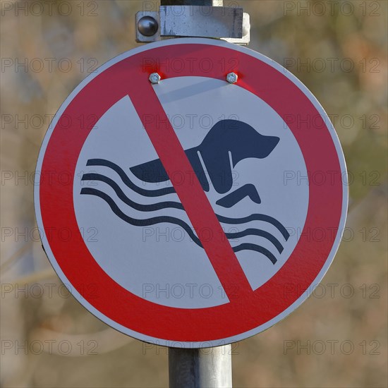 No swimming for dogs