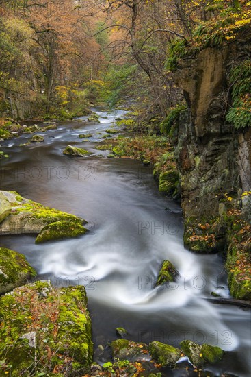 River Bode in the autumnal Harz Mountains