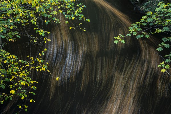 River Bode in the autumnal Harz Mountains