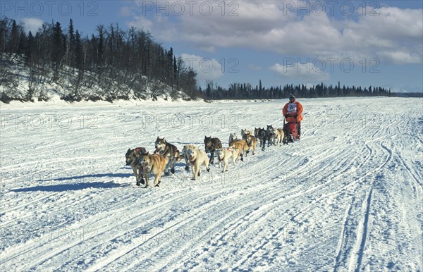 Iditarod Dog Sled Race