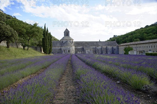 Cistercian abbey Abbaye Notre-Dame de Senanque