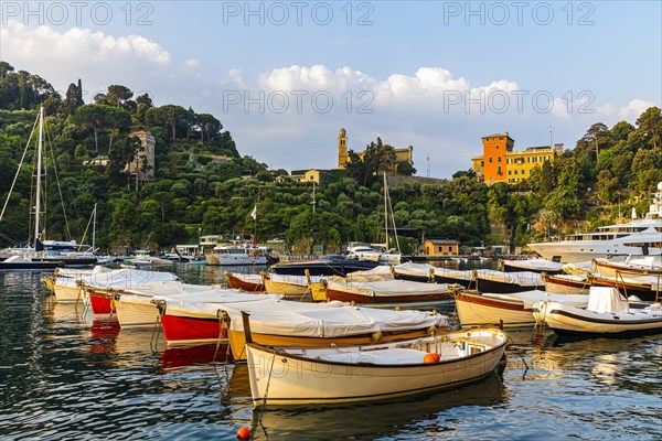 Luxury yachts and boats anchored in the harbour of Portofino