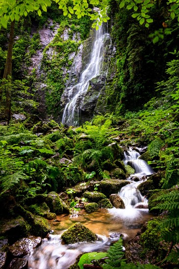 The Burgbach waterfall in the middle of the green forest. Waterfall in Schapbach