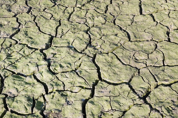 Dry river bed