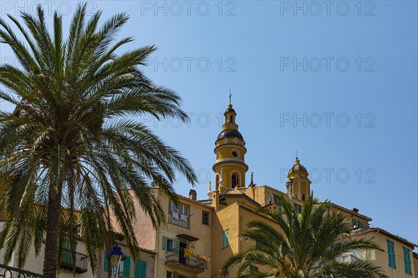 Palm trees and colourful house facades