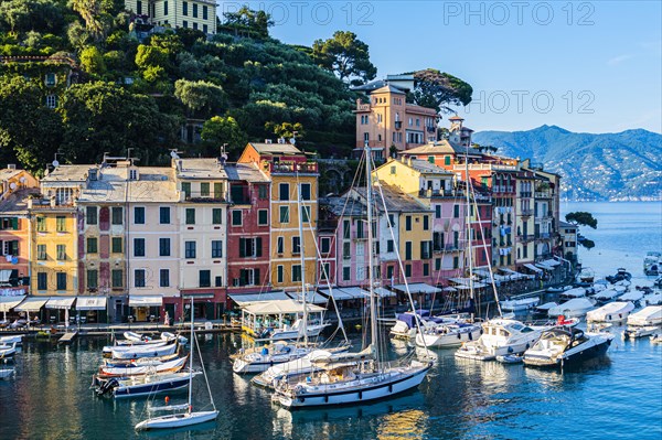 Boats anchor in the harbour of Portofino