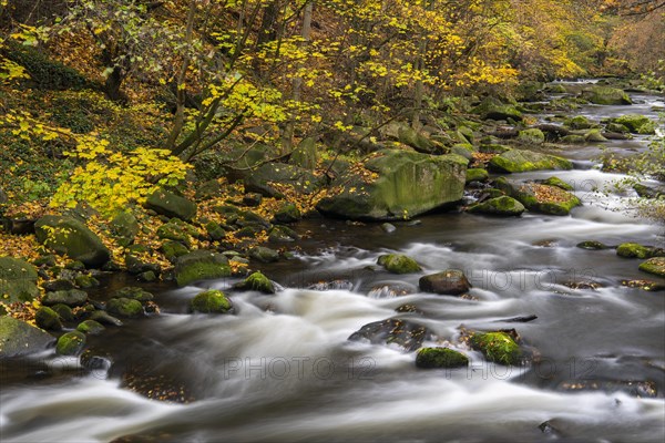 River Bode in the autumnal Harz Mountains